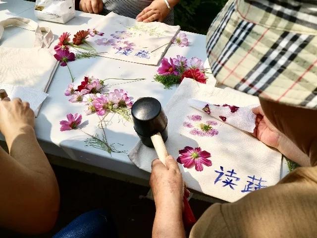 合肥小众风景区,合肥有一处小众景点