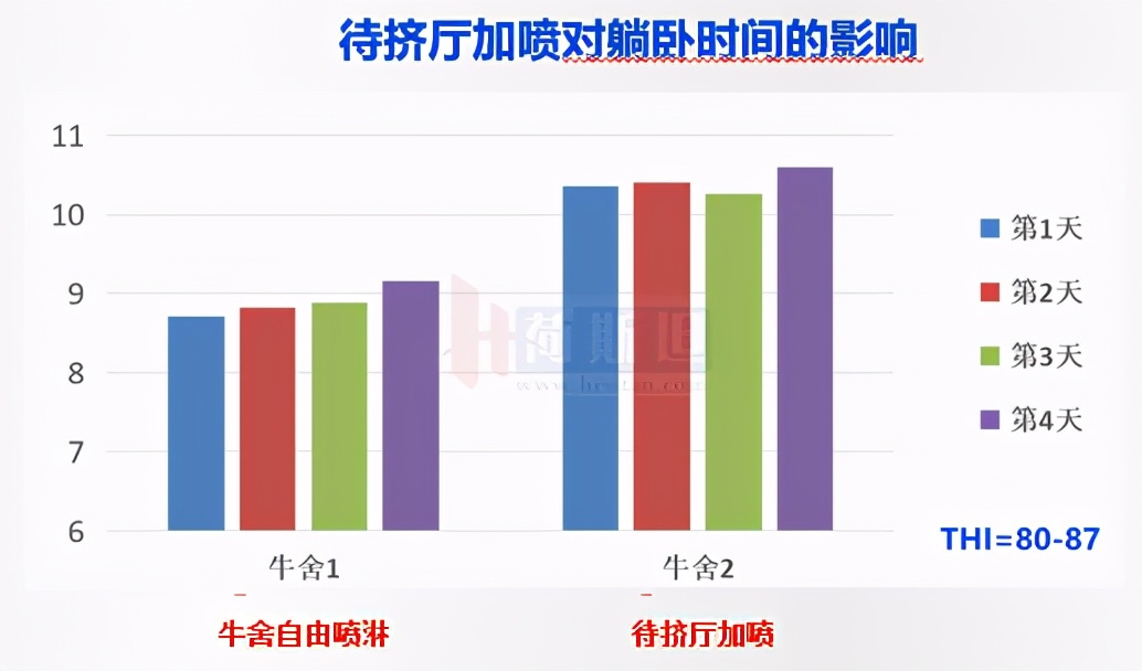 苏衍菁：牧场牛群应激防控管理与实践