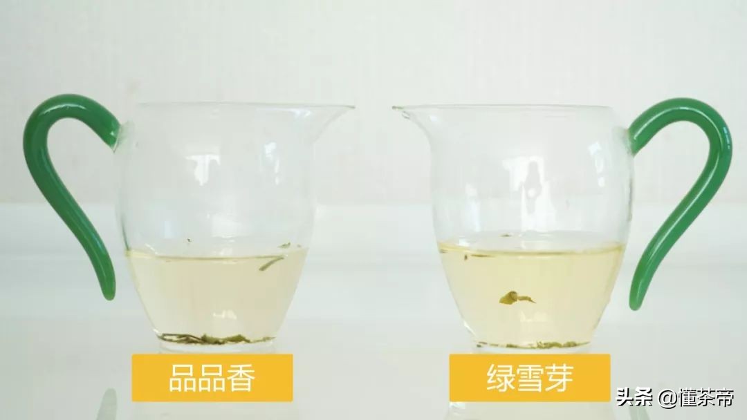 品品香和绿雪芽的老白茶哪个好,白茶测评