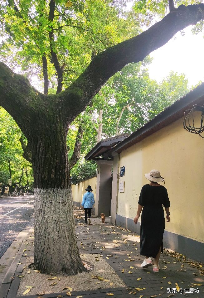 疫情后的城市风貌,疫情后的城市生机
