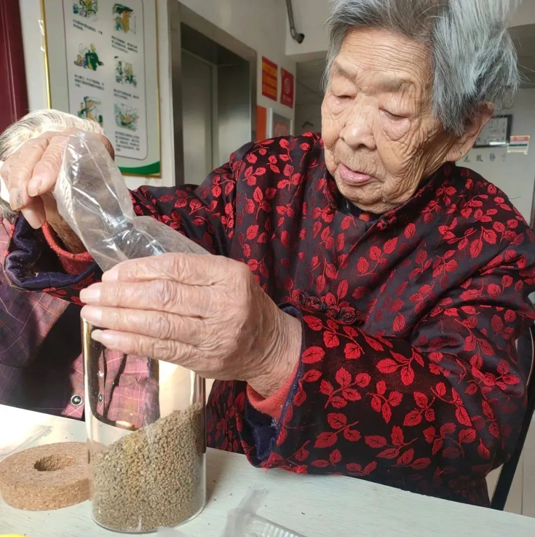 园艺种植小组活动,多彩活动健康成长