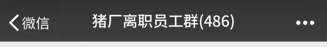 当代年轻人的微信群名,高智商的微信群名