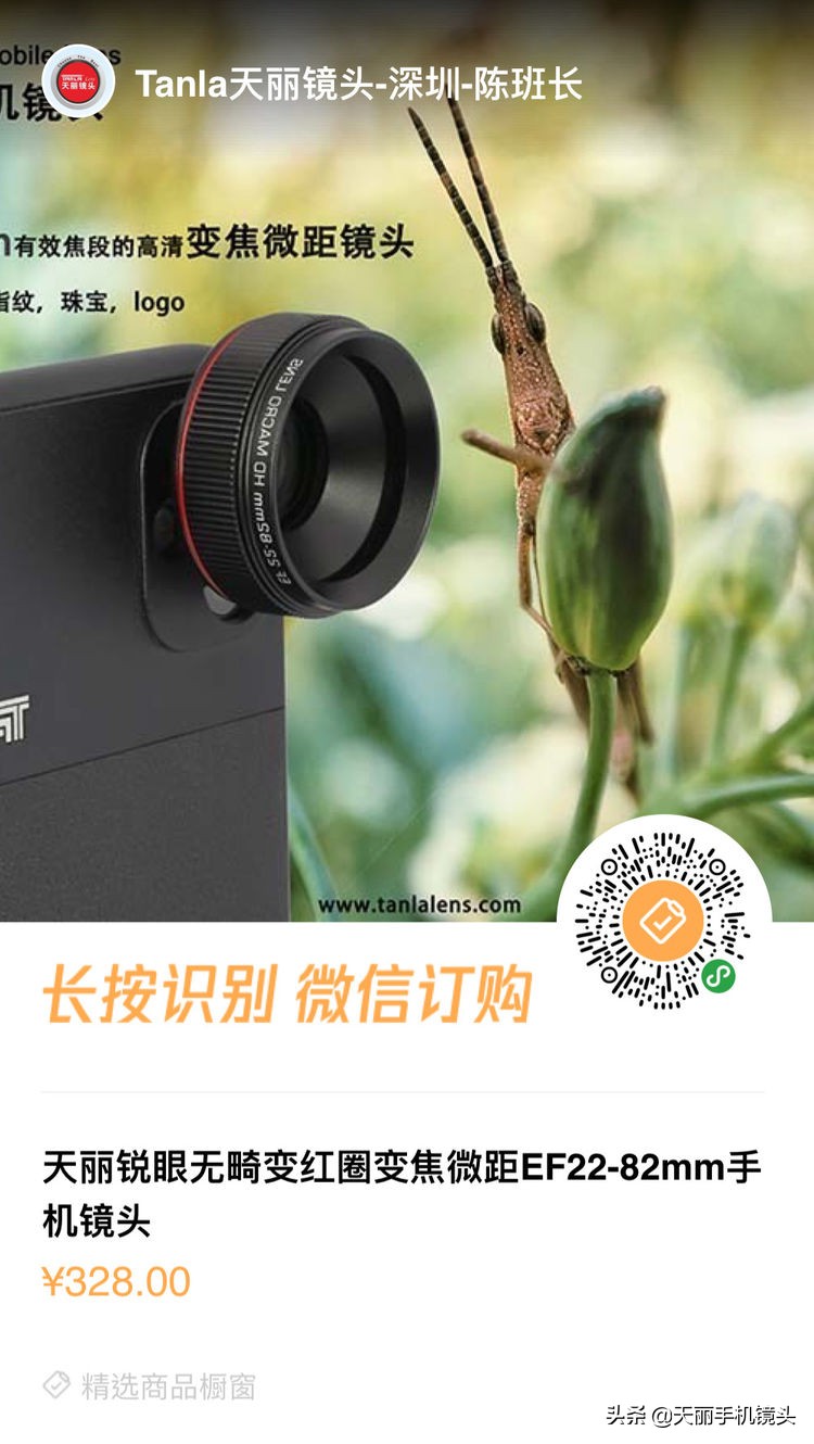 天丽锐眼镜头测评,天丽摄影作品