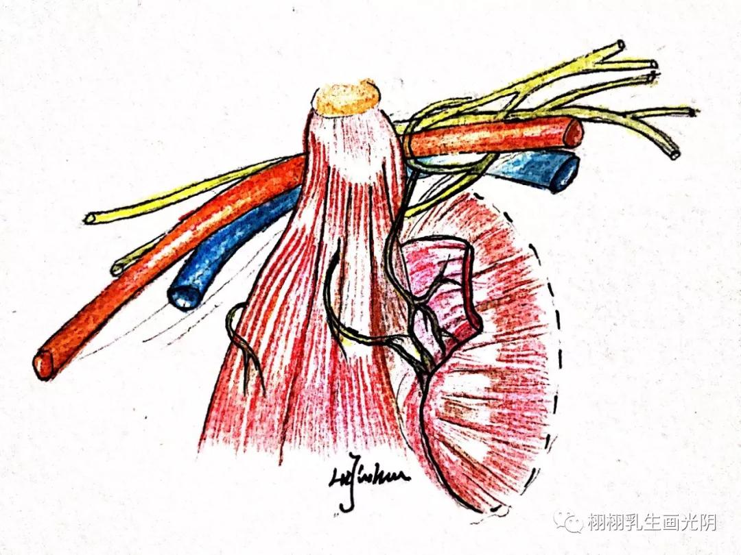 最贵的房子内部图片,最贵的房子内部