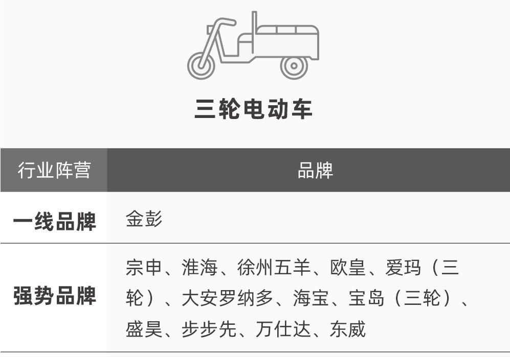 老年人电动三轮车品牌排名,品牌老年人电动三轮车
