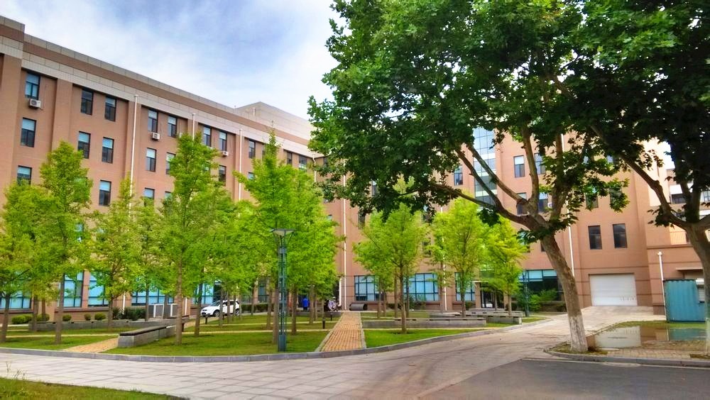 女学霸3年拿奖学金,美女学霸连续三年获奖学金