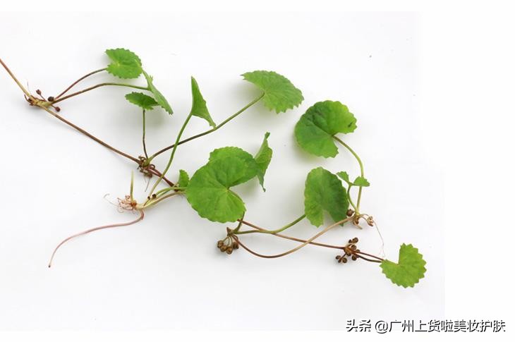 对付褐黑色痘印,对付黑痘印最有效的成分