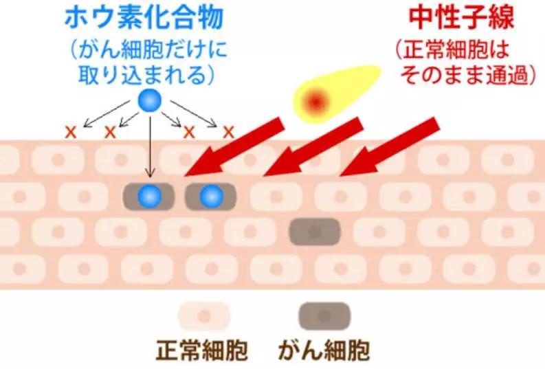 制定最适合癌症患者的抗癌方案,2021年癌症治疗指南