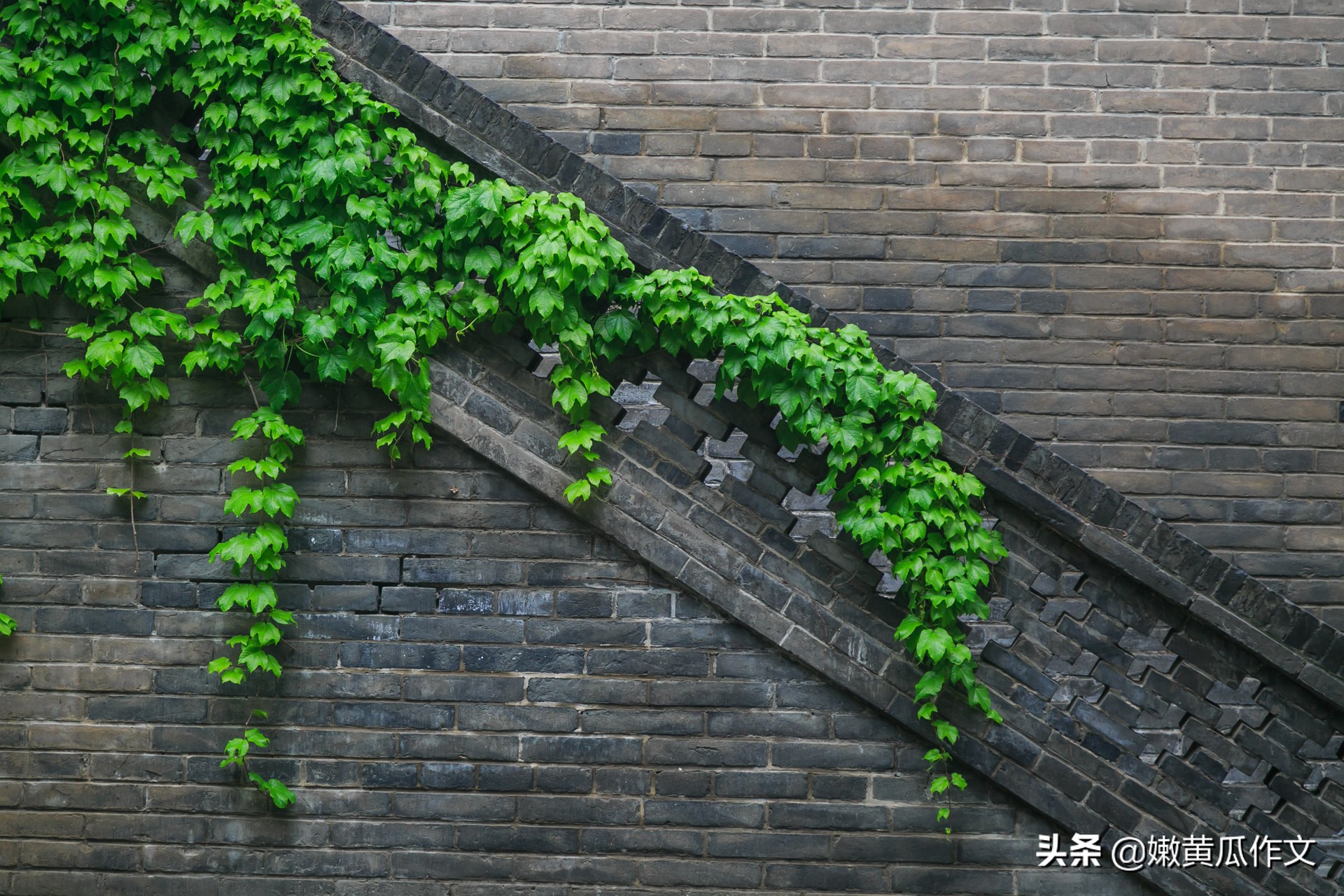 会用素材是写作硬道理！选材4招+范文3篇点亮作文航标灯