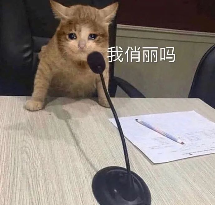 表情包你能亲亲我嘛,表情包你能拿我怎么办
