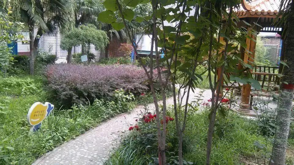 西安未央区团结小学图片,西安市未央区团结村小学
