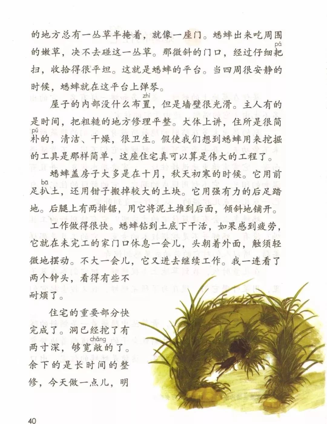2019秋统编版四年级语文上册电子课本1-4单元（送审版）