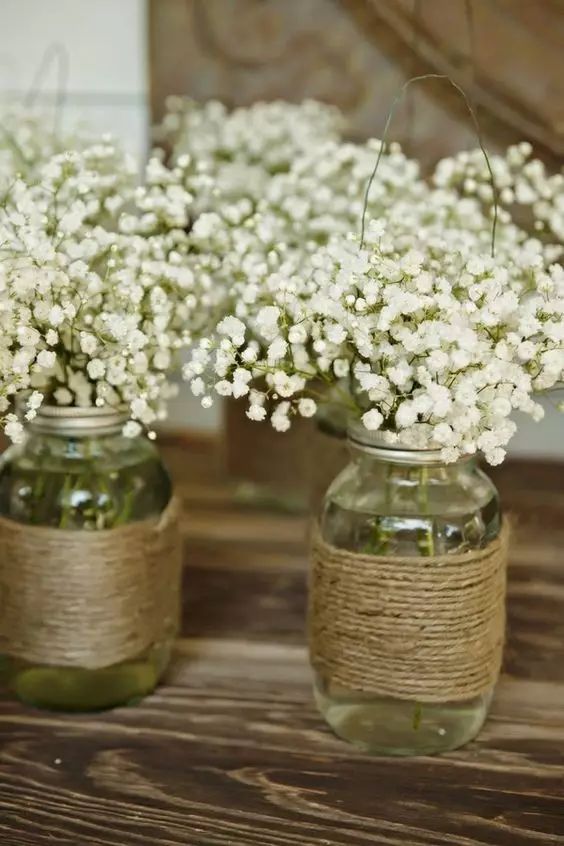 教你怎么学插花,小白零基础怎么学插花