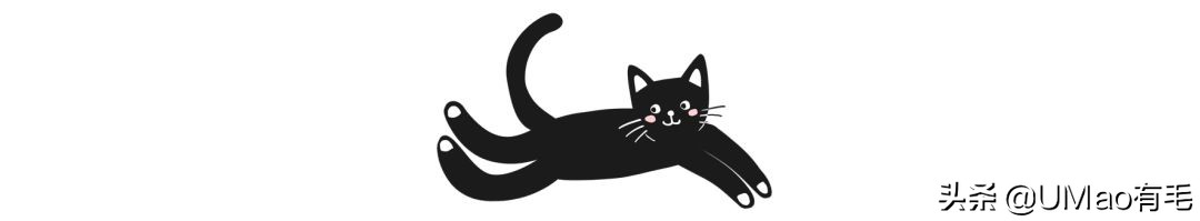 为啥猫猫拉完粑粑之后会疯跑,猫猫每次拉完屎就疯跑