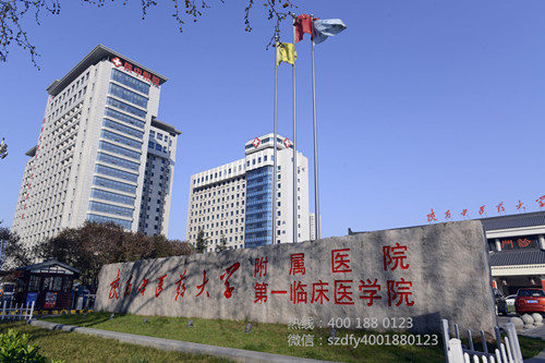 健康管理大会2024,健康管理协会会议