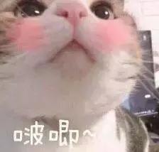 化妆工具没用对，再贵的彩妆也得废！超全化妆刷使用指南！