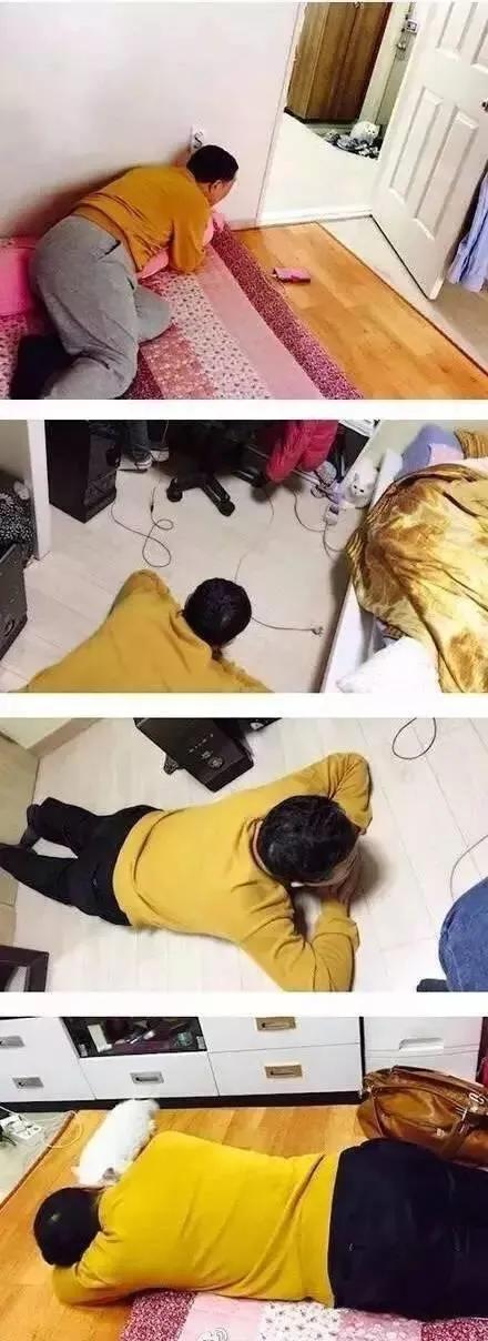 养猫会给家庭带来快乐,养猫会给人带来的好运