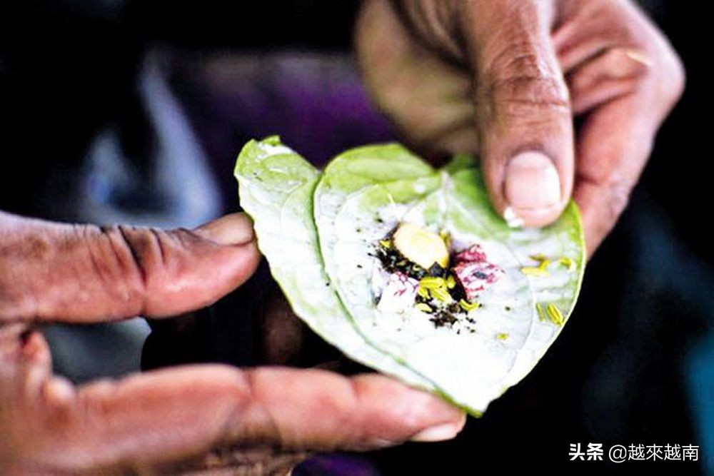 越南人吃槟榔怎么没事,为什么热衷于吃槟榔