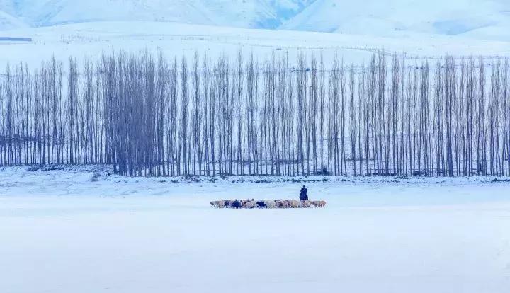 冬天的阿勒泰冰雪,冬天的雪冰雪奇缘