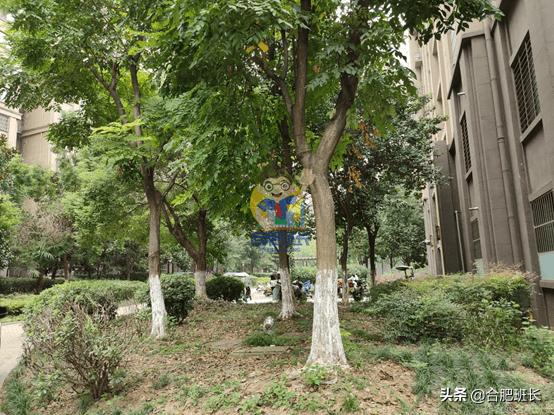 御湖观邸解析,御湖观邸房子品质怎么样