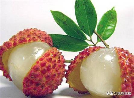 上火怎么改善作息,吃了上火的食物怎么预防上火