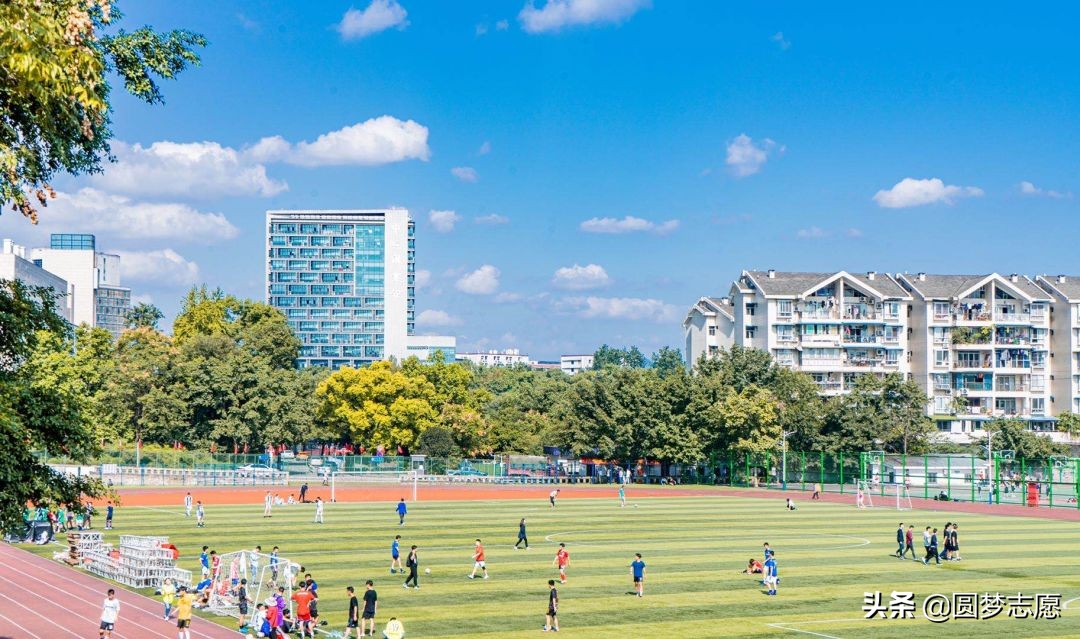 重庆西南大学占全国的名校第几名,重庆西南区域比较厉害的大学