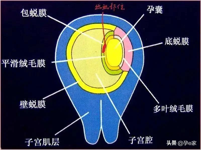 孕早期出血不要惶恐,孕早期出血要不要打保胎针