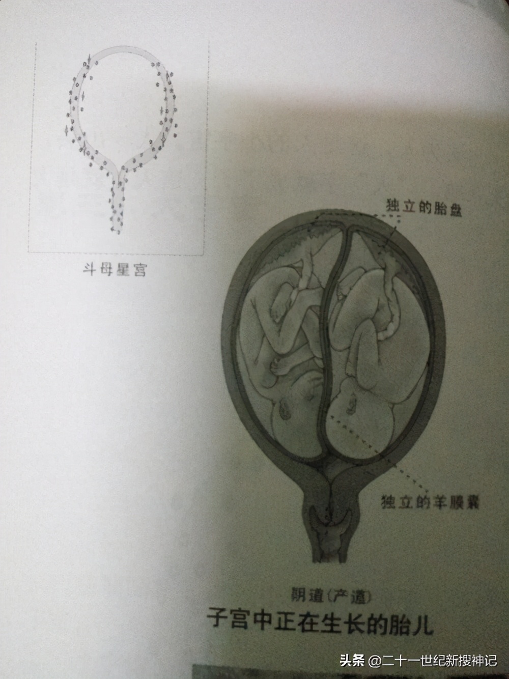 生命之谜第三季第24集,生命之谜最新全部章节在线阅读