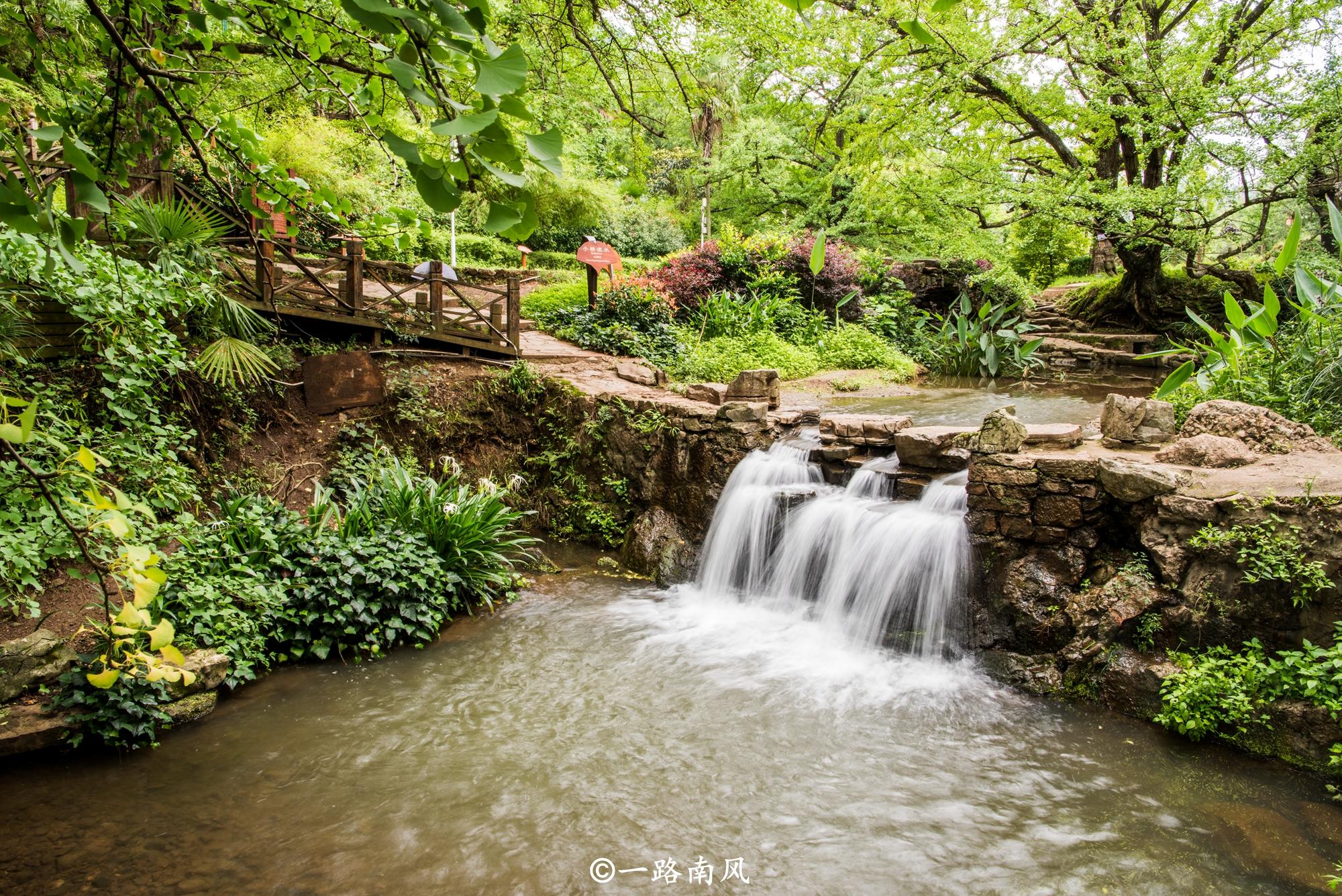 贵州藏着一处秘境,贵州凉都19度的夏天