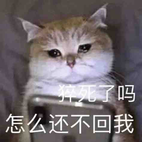 表情包你能亲亲我嘛,表情包你能拿我怎么办