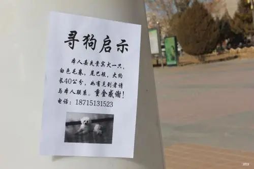 有了这个证，必要的时候可以救狗狗一命