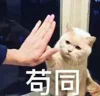 100个驯服动物的冷知识,6条养猫冷知识