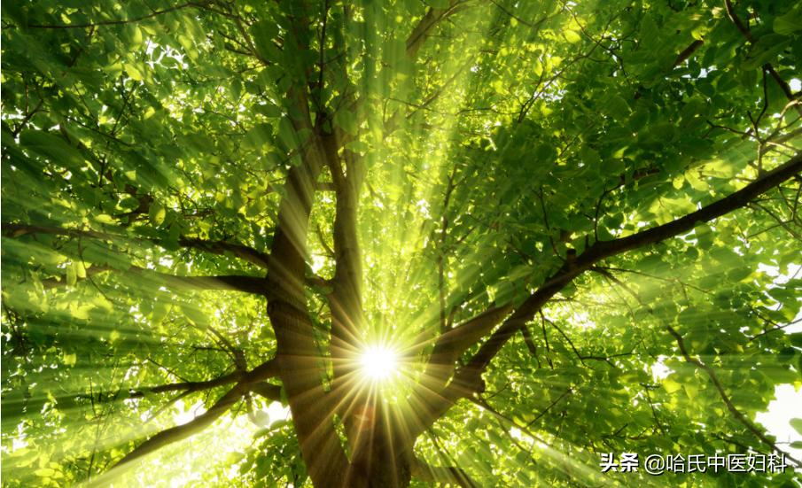 为什么好多年轻女性多囊,多囊女孩怎么回事