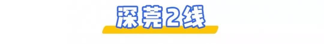 2023年东莞公交线路一览表,东莞公交12号线路图