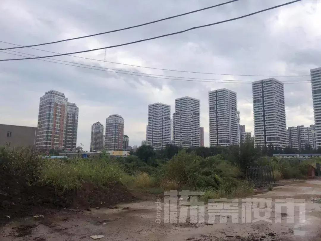 于洪新城教育发展规划,于洪新城教育升级