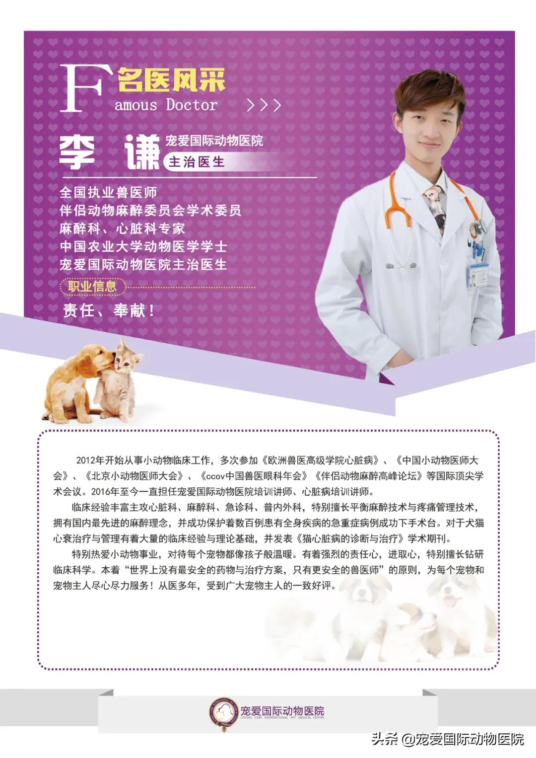 猫肥厚型心肌病的预防措施,猫肥厚型梗塞性心肌病