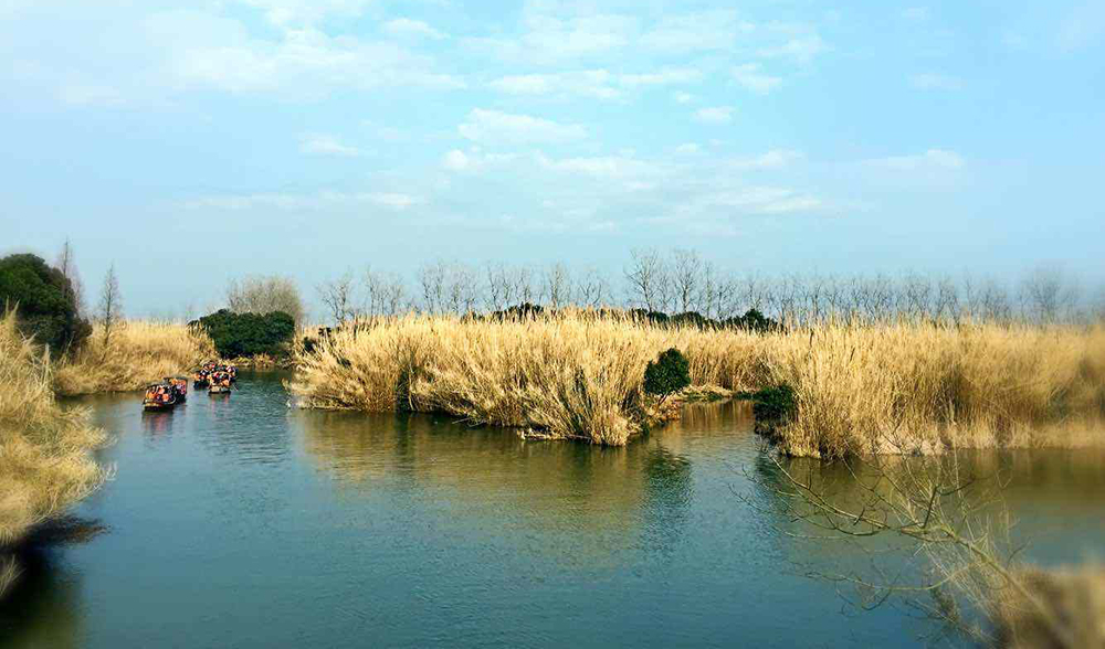 常熟市沙家浜阳澄湖大闸蟹价格,黄河口生态旅游景区大闸蟹