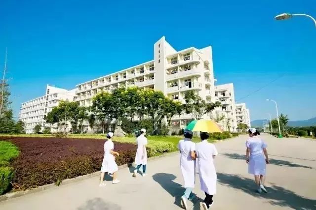 安庆高等医药职业学校,安庆医药高等专科学校2020年单招