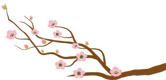 三国杀钟繇武将技能怎么用,武将攻略之王异篇