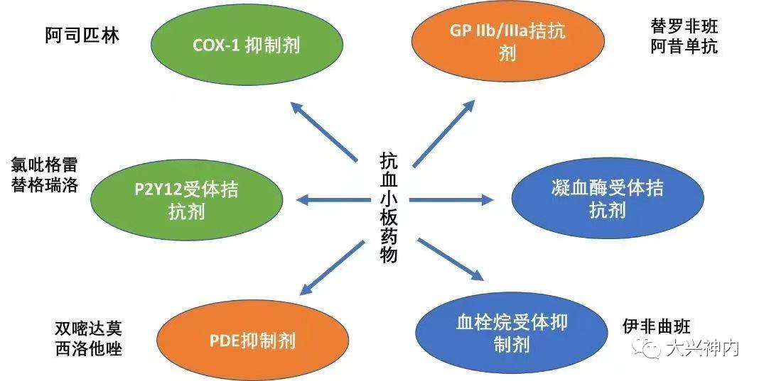 苗建亭教授：预防脑梗死的药物选择