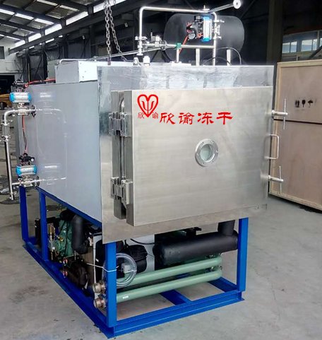 维多士冻干益生菌,九春堂冻干益生菌