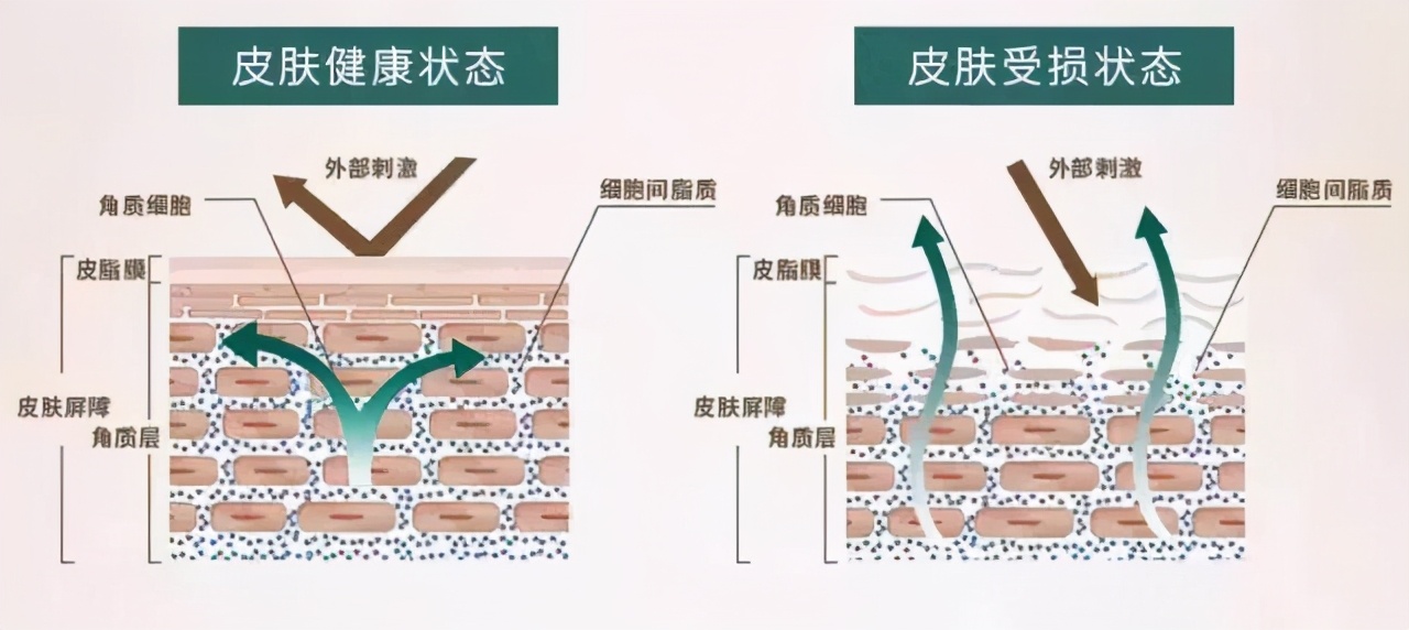 不要以油养肤,防止被忽悠注意事项