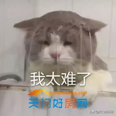 打工十年不如创业一年，学府春天潜力好铺预热中