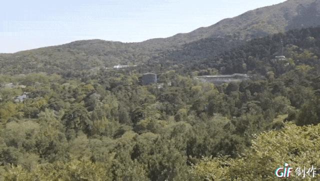 赏香山红叶旅游攻略,赏花旅游景点北京