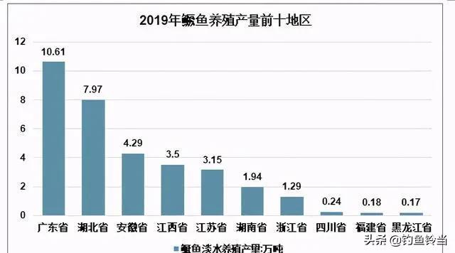 松花江鳜鱼生存环境,松花江的鳜鱼