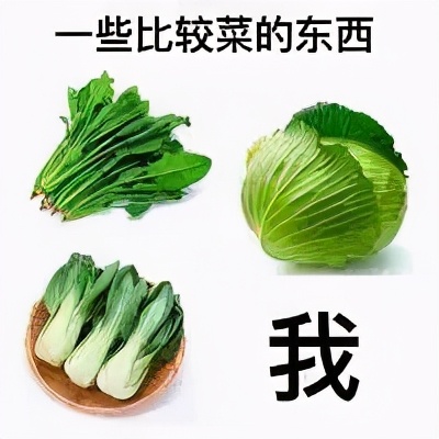 毕业论文查重百分之九十怎么降重,学术论文降重原理和查重