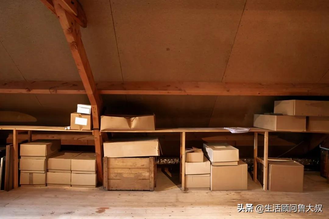 家里有虫子怎么办,家里有虫子怎么办有什么妙招