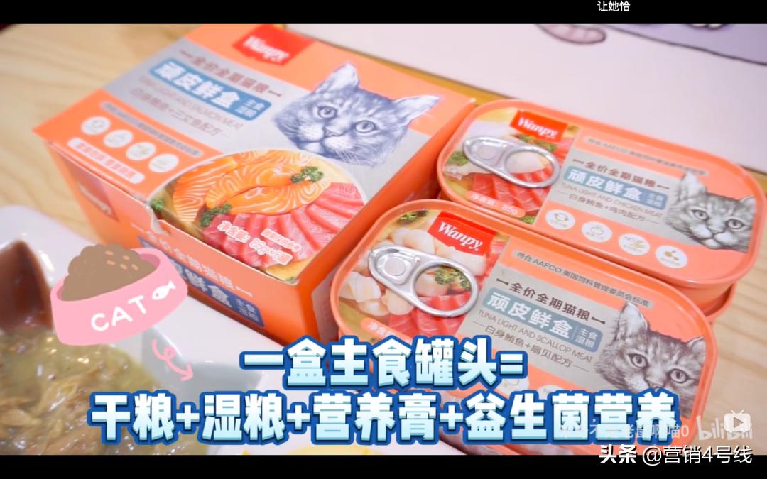 「扎堆大乱斗」还是「四两拨千斤」，顽皮宠物B站超车之路｜案例