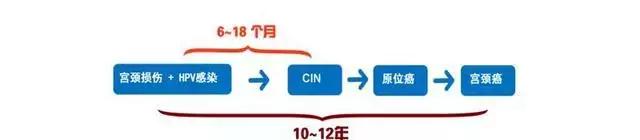协和专家：感染HPV病毒不要怕，80%就像感冒，可自愈