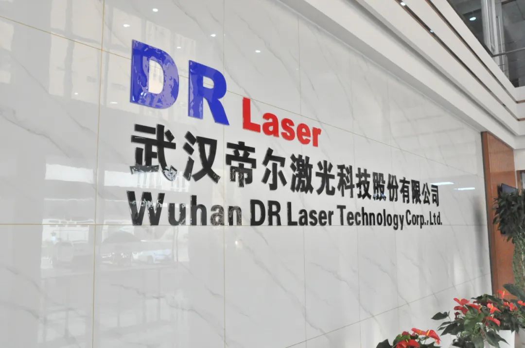 武汉帝尔激光科技项目,帝尔激光总部